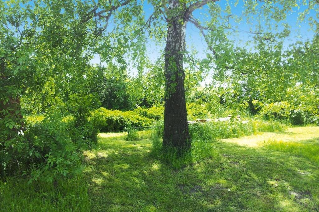 Xxl Ferienhaus Mit Sauna In Upost Warrenzin Ngoại thất bức ảnh