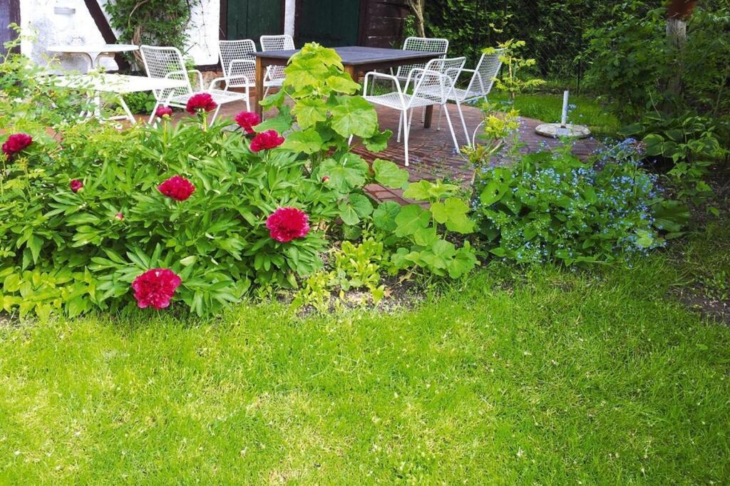 Xxl Ferienhaus Mit Sauna In Upost Warrenzin Ngoại thất bức ảnh